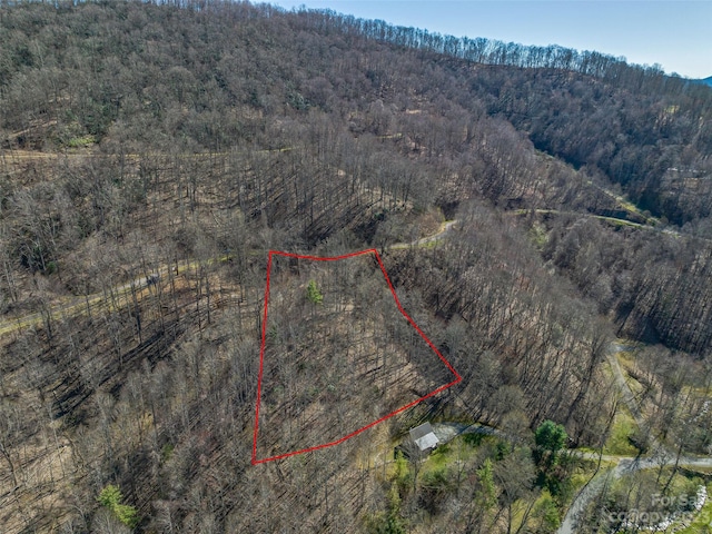 359 Kendal Dr Unit 14, Leicester NC, 28748 land for sale