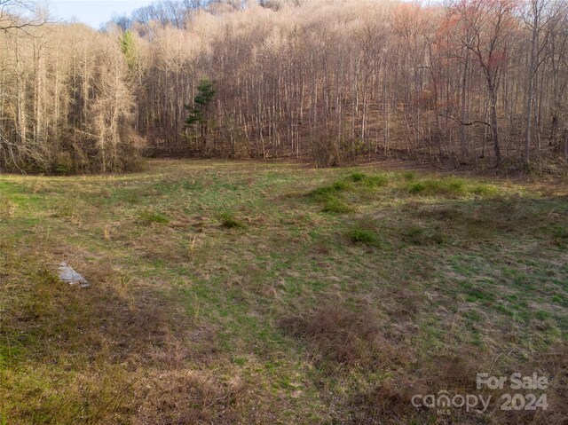 00 Hwy 28, Robbinsville NC, 28771 land for sale