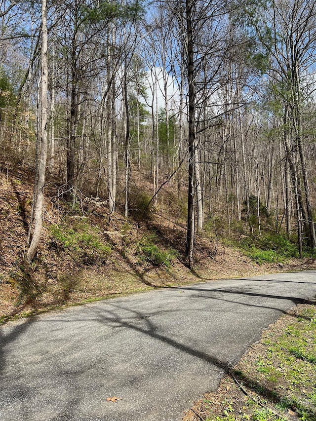 LOTS302, 304 N Country Club Dr, Cullowhee NC, 28723 land for sale