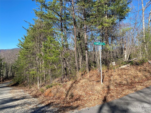 LOT49 Sunrise Path, Marion, NC 28752 - photo 6