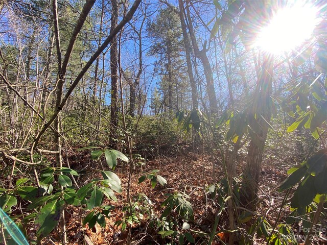 LOT49 Sunrise Path, Marion, NC 28752 - photo 7