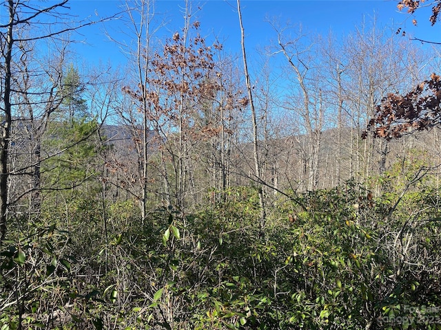 LOT49 Sunrise Path, Marion, NC 28752 - photo 8
