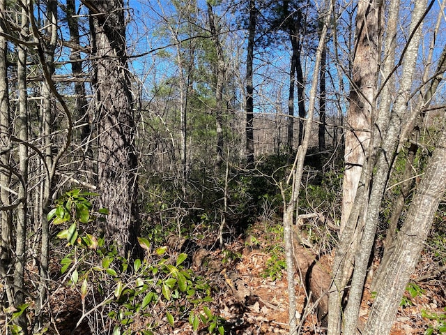 LOT49 Sunrise Path, Marion, NC 28752 - photo 9