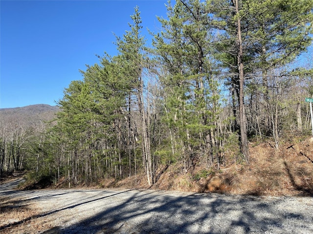 LOT49 Sunrise Path, Marion, NC 28752 - photo 10