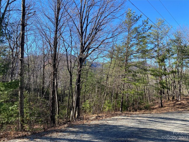 LOT49 Sunrise Path, Marion, NC 28752 - photo 11