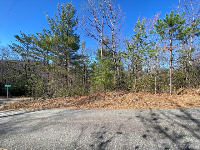 LOT49 Sunrise Path, Marion, NC 28752 - photo 12