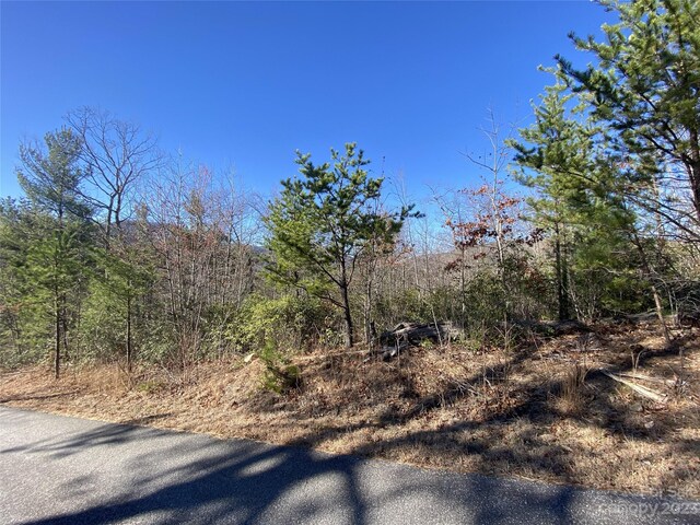 LOT49 Sunrise Path, Marion, NC 28752 - photo 13