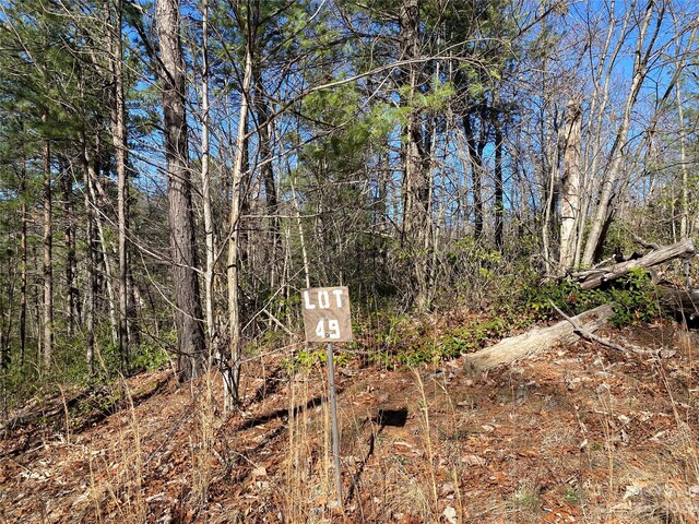 LOT49 Sunrise Path, Marion, NC 28752 - photo 15