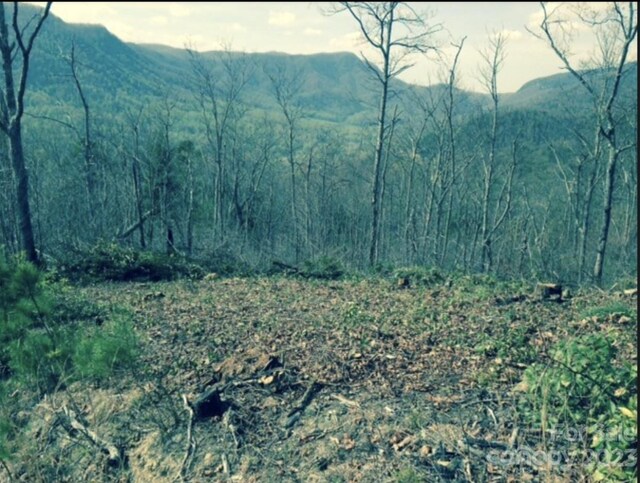 LOT49 Sunrise Path, Marion, NC 28752 - photo 14
