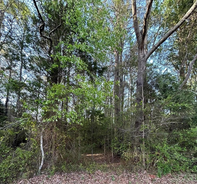 Listing photo 2 for 00 Lancaster Hwy, Richburg SC 29729