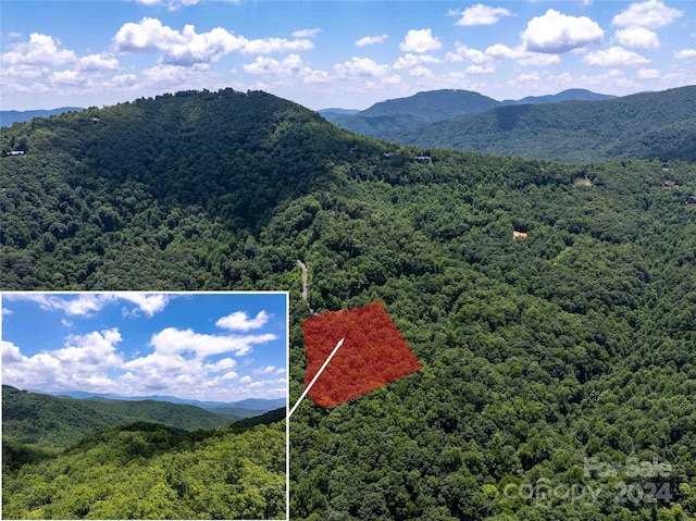 561 N Haven Dr Unit T-52, Black Mountain NC, 28711 land for sale