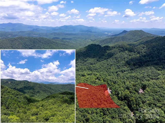 Listing photo 2 for 561 N Haven Dr Unit T-52, Black Mountain NC 28711