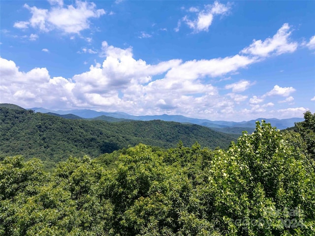 Listing photo 3 for 561 N Haven Dr Unit T-52, Black Mountain NC 28711