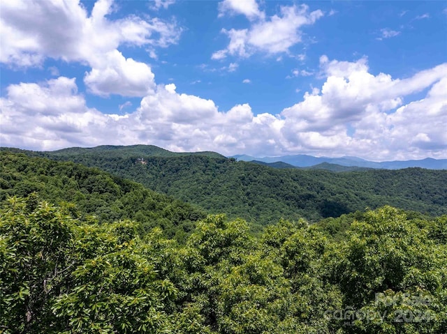 561 N Haven Dr Unit T-52, Black Mountain, NC 28711 - photo 4
