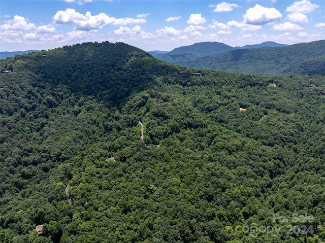 561 N Haven Dr Unit T-52, Black Mountain, NC 28711 - photo 5