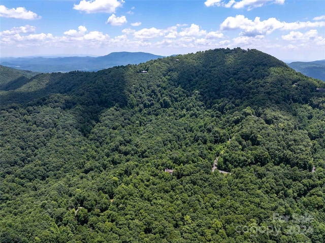 561 N Haven Dr Unit T-52, Black Mountain, NC 28711 - photo 6