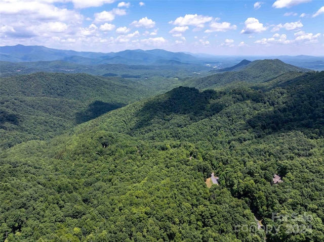 561 N Haven Dr Unit T-52, Black Mountain, NC 28711 - photo 7