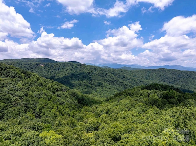561 N Haven Dr Unit T-52, Black Mountain, NC 28711 - photo 8