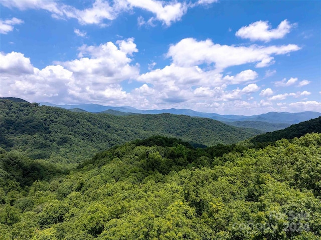 561 N Haven Dr Unit T-52, Black Mountain, NC 28711 - photo 9
