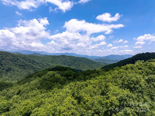 561 N Haven Dr Unit T-52, Black Mountain, NC 28711 - photo 10