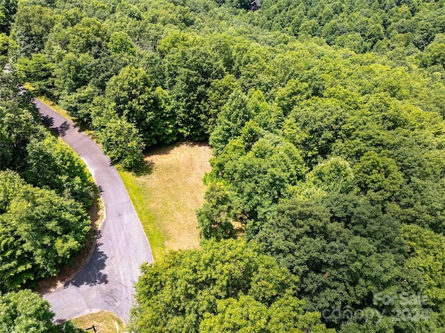 561 N Haven Dr Unit T-52, Black Mountain, NC 28711 - photo 11