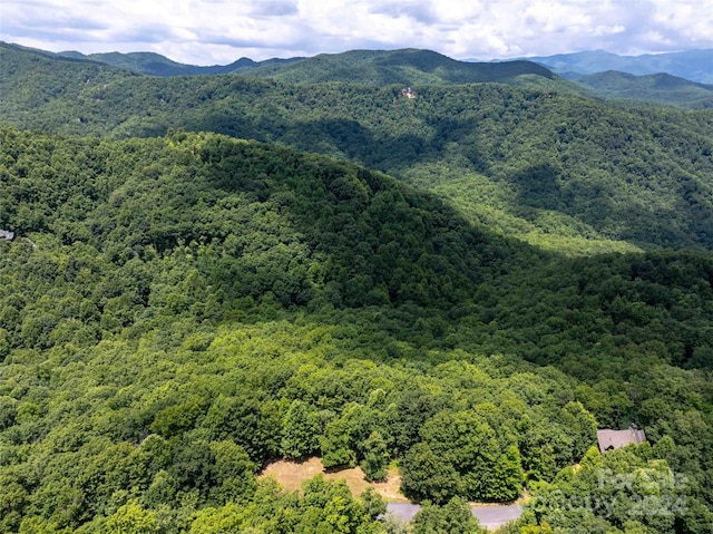 561 N Haven Dr Unit T-52, Black Mountain, NC 28711 - photo 12