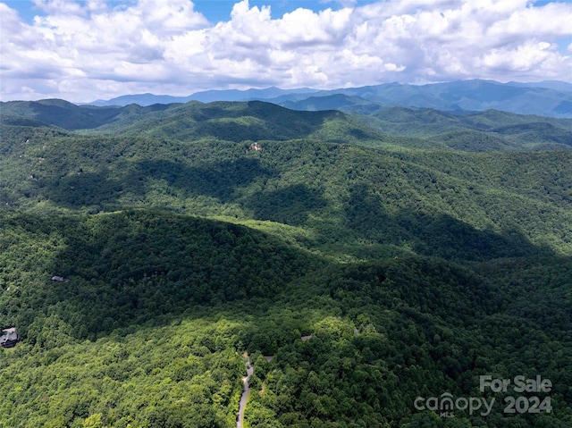 561 N Haven Dr Unit T-52, Black Mountain, NC 28711 - photo 13