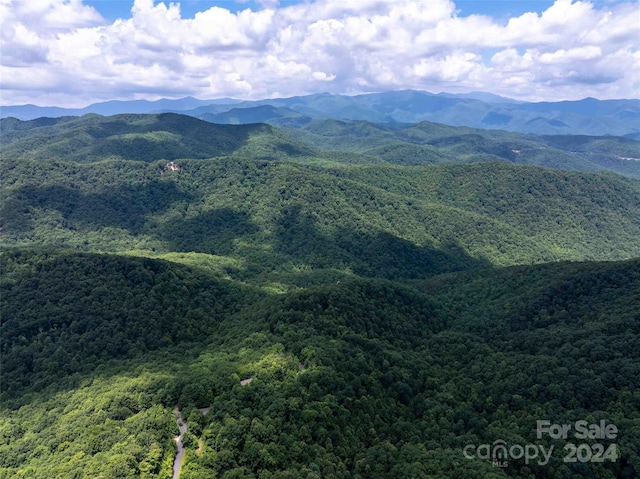 561 N Haven Dr Unit T-52, Black Mountain, NC 28711 - photo 14