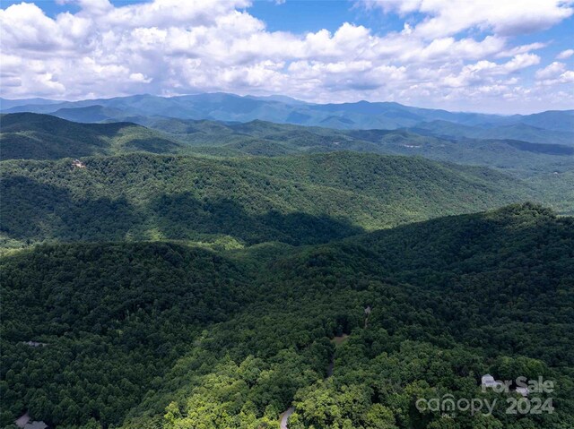 561 N Haven Dr Unit T-52, Black Mountain, NC 28711 - photo 15