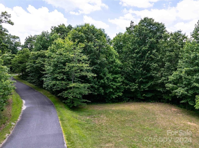 561 N Haven Dr Unit T-52, Black Mountain, NC 28711 - photo 16