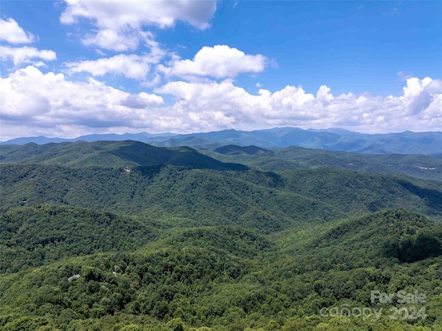 561 N Haven Dr Unit T-52, Black Mountain, NC 28711 - photo 17
