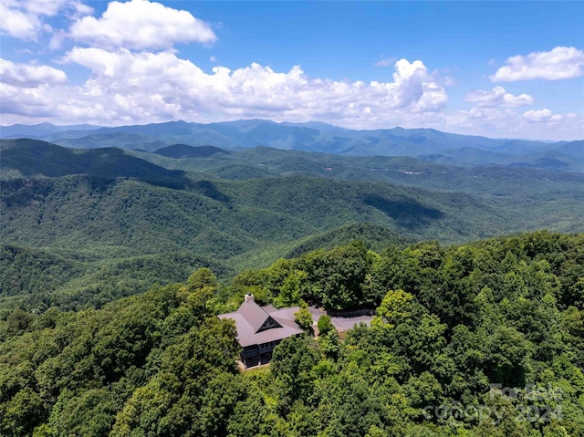 561 N Haven Dr Unit T-52, Black Mountain, NC 28711 - photo 18