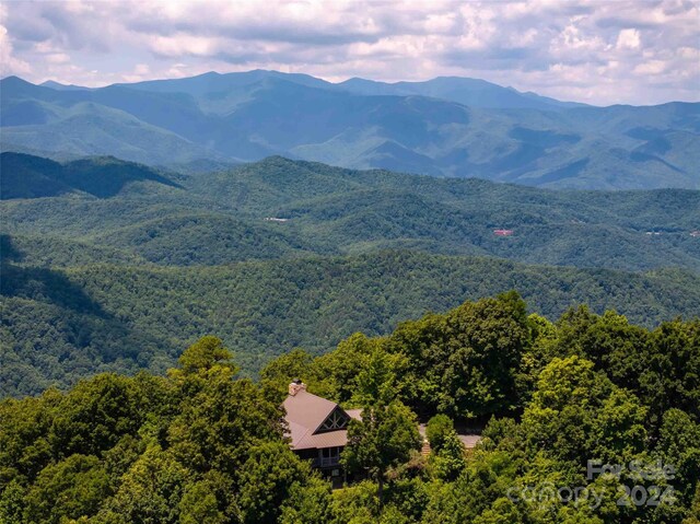 561 N Haven Dr Unit T-52, Black Mountain, NC 28711 - photo 19