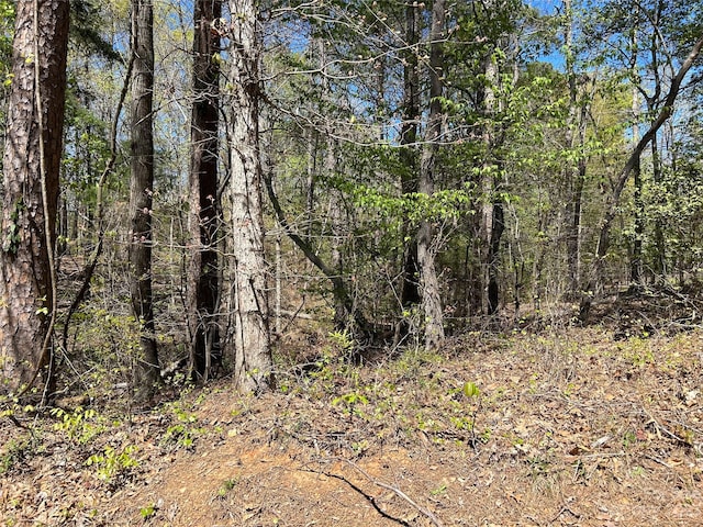 0 Lake Tillery Rd, Albemarle NC, 28001 land for sale