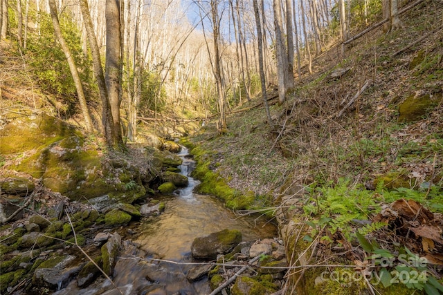 00 Buff Creek Rd, Sylva NC, 28779 land for sale