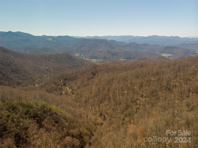 Listing photo 3 for 00 Buff Creek Rd, Sylva NC 28779