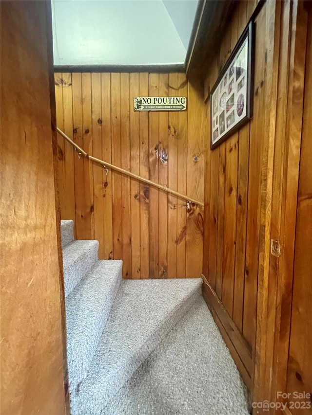 stairway featuring carpet flooring and wooden walls