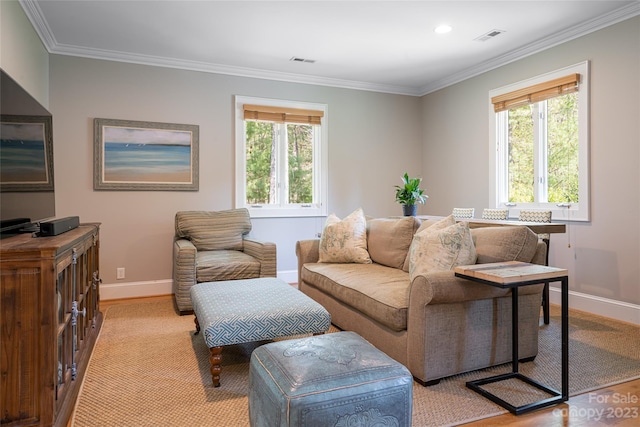 living room featuring plenty of natural light and ornamental molding