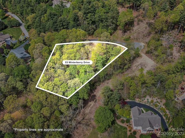 Listing photo 2 for LOT53 Winterberry Dr, Hendersonville NC 28739