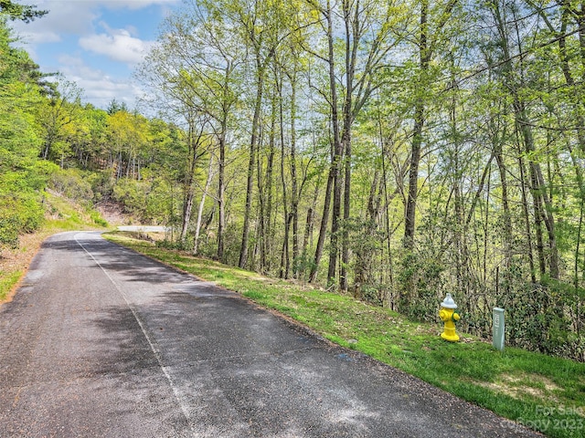 Listing photo 3 for LOT53 Winterberry Dr, Hendersonville NC 28739