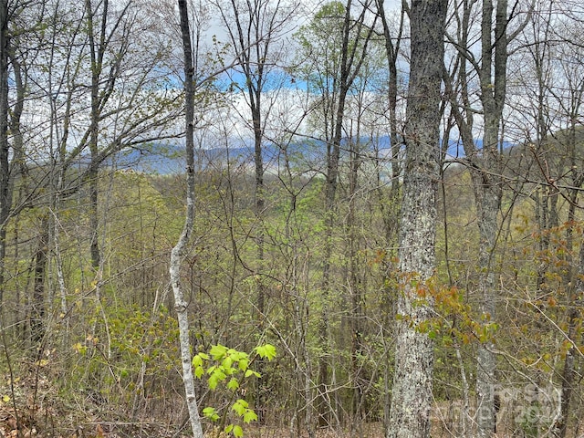 LOT33 Heritage Ridge Rd, Burnsville NC, 28714 land for sale