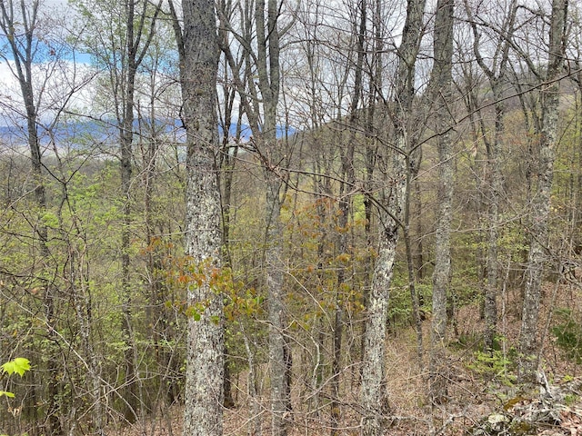 Listing photo 2 for LOT33 Heritage Ridge Rd, Burnsville NC 28714