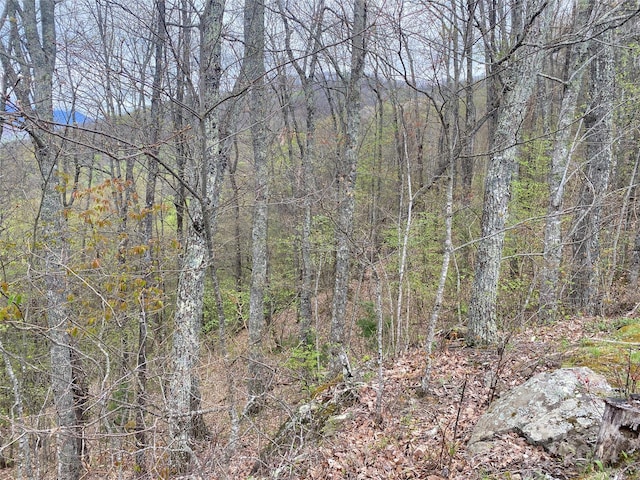 Listing photo 3 for LOT33 Heritage Ridge Rd, Burnsville NC 28714