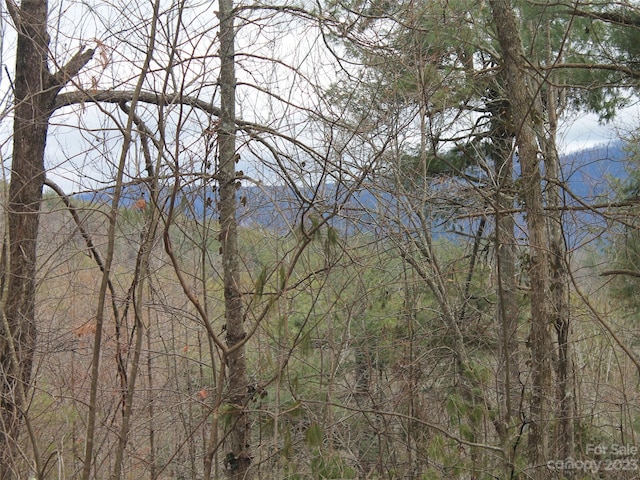 0000 Wildlife Trl Unit 84Acres, Hendersonville NC, 28739 land for sale