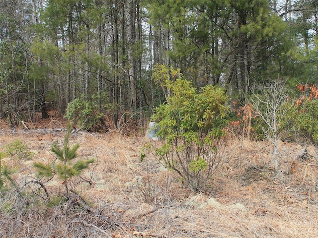 Listing photo 2 for 0000 Wildlife Trl Unit 84Acres, Hendersonville NC 28739