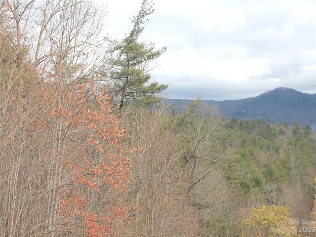 Listing photo 3 for 0000 Wildlife Trl Unit 84Acres, Hendersonville NC 28739