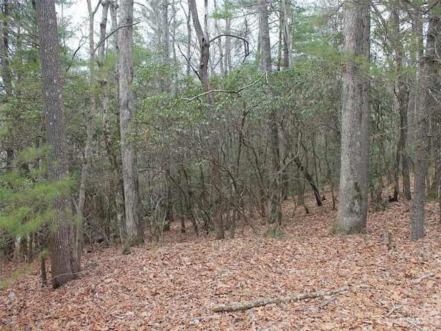 000 Wildlife Trl Unit 1.16Acres, Hendersonville NC, 28739 land for sale