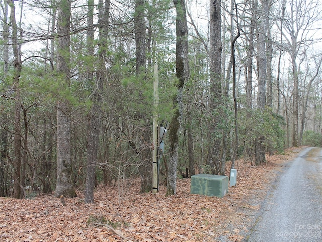 Listing photo 2 for 000 Wildlife Trl Unit 1.16Acres, Hendersonville NC 28739