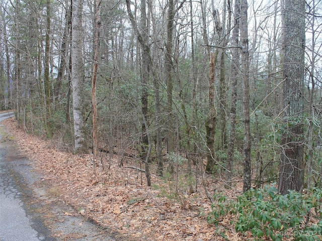 Listing photo 3 for 000 Wildlife Trl Unit 1.16Acres, Hendersonville NC 28739