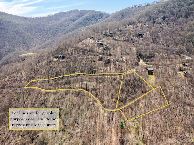 Lots29,30 Trickle Creek Road, Waynesville NC, 28785 land for sale